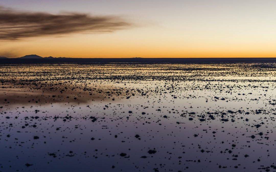 Ontdek de Waddenkust van Groningen: natuur, rust en avontuur