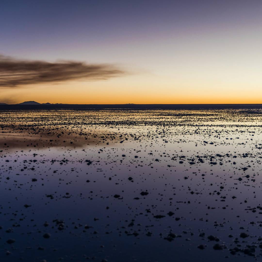 Ontdek de Waddenkust van Groningen: natuur, rust en avontuur