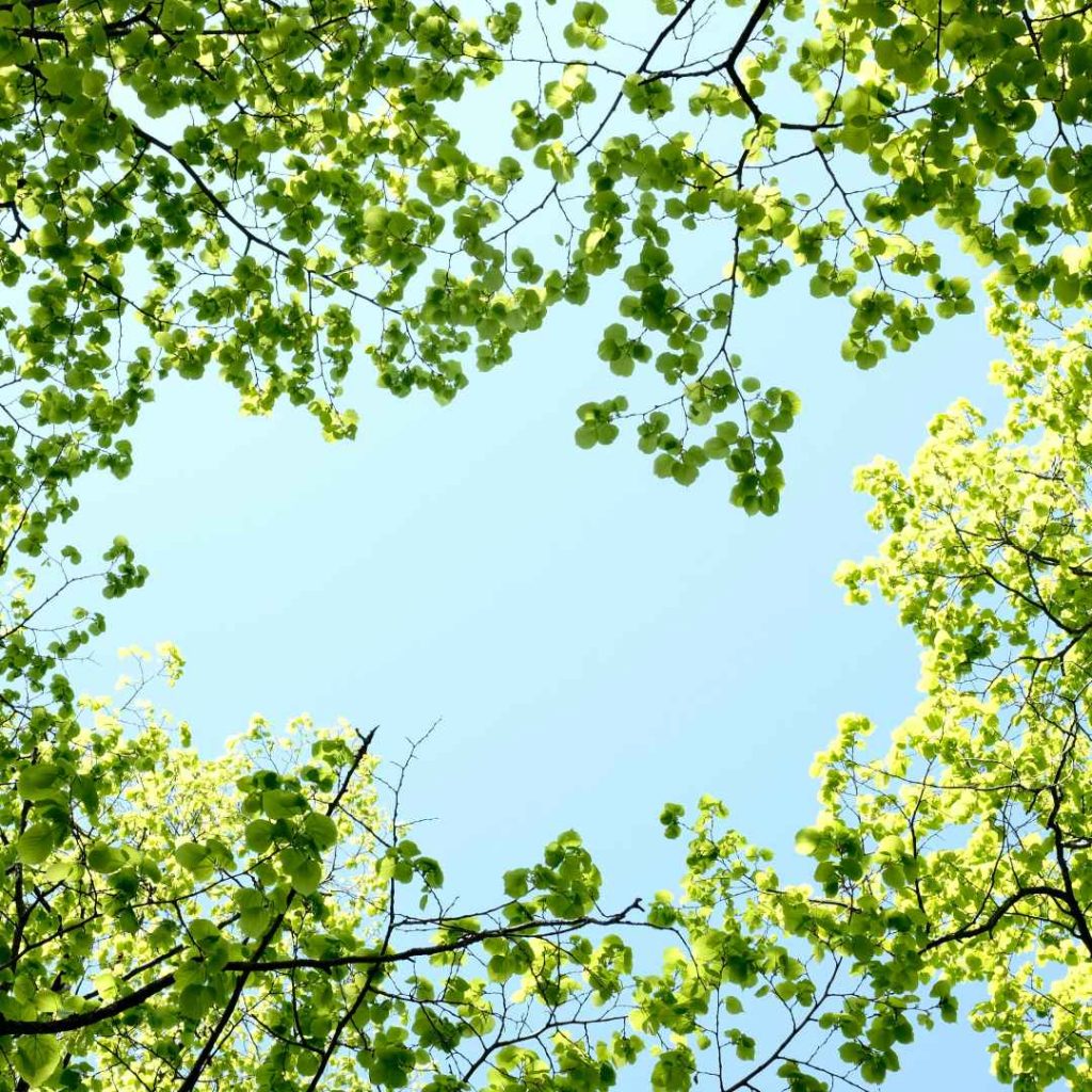 natuurgebieden rondom de provincie Groningen