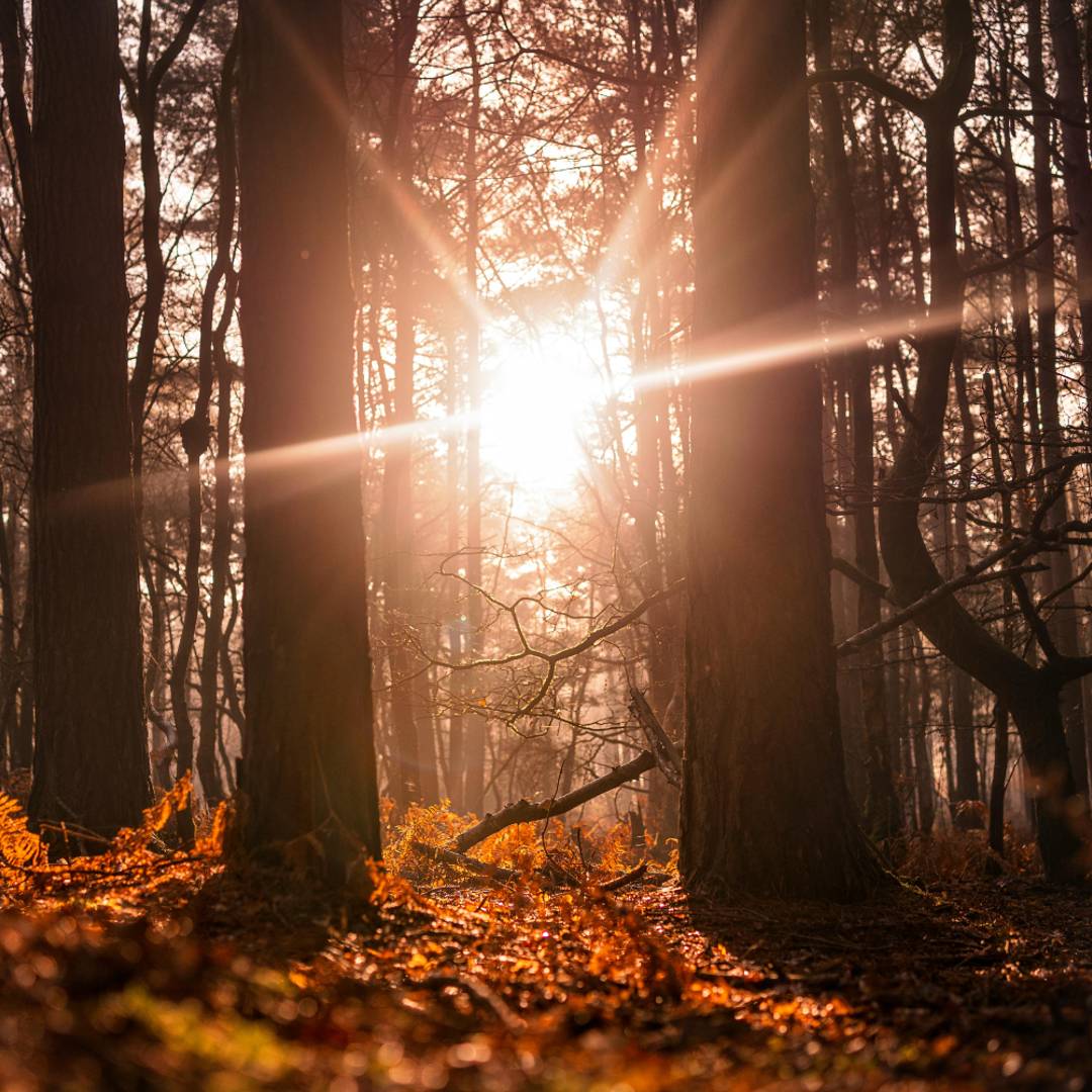 De vijf mooiste natuurgebieden in Groningen: kom tot rust in de provincie