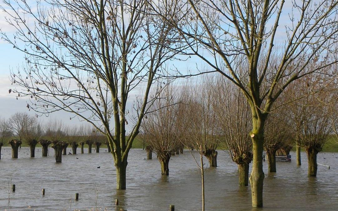 Wierdedorpen in Groningen; eeuwenlange strijd tegen het water