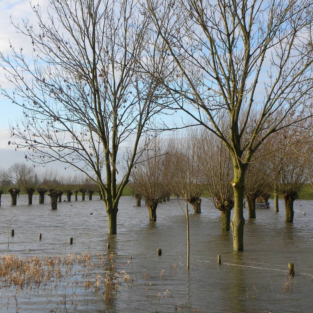 Wierdedorpen in Groningen; eeuwenlange strijd tegen het water