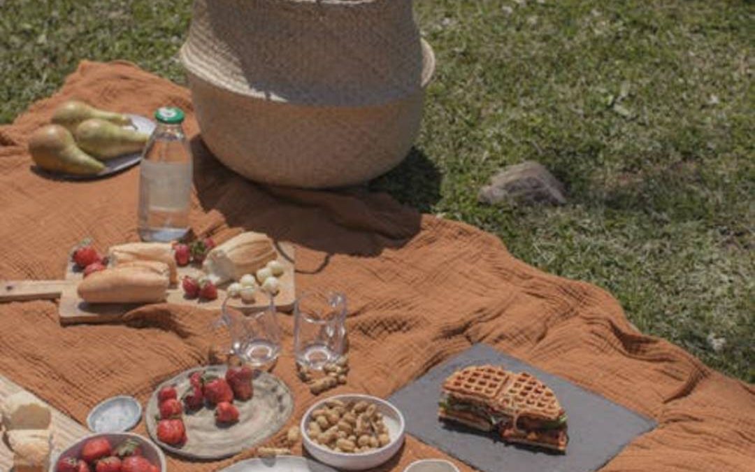 De beste plekken om te picknicken in Groningen