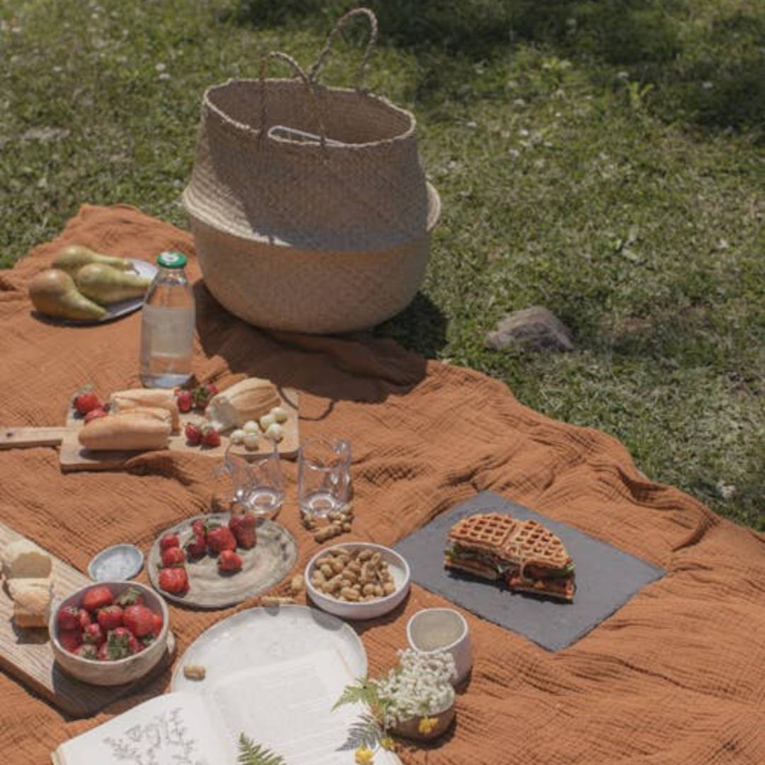De beste plekken om te picknicken in Groningen