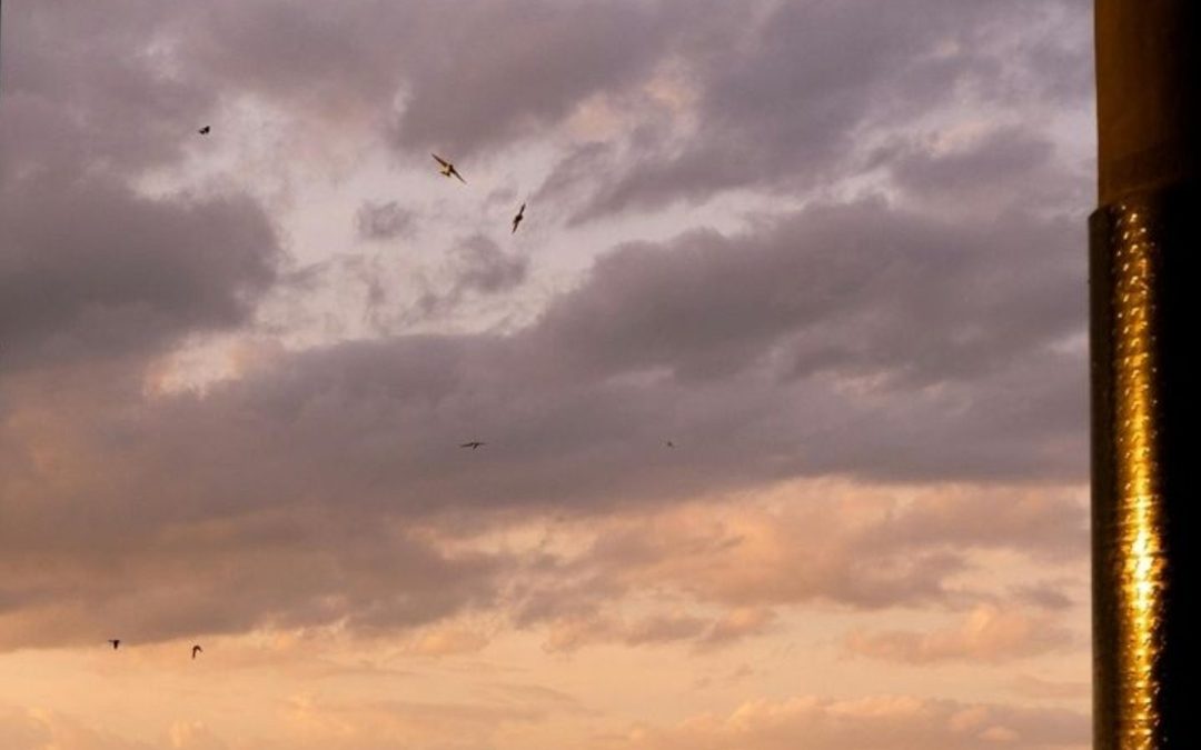 Zonsopkomst of zonsondergang in Groningen: de mooiste plekken om te kijken